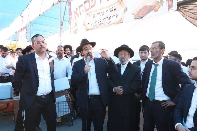 יעקב כהן