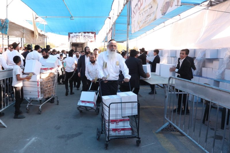יעקב כהן