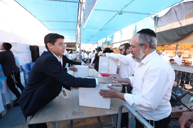 יעקב כהן