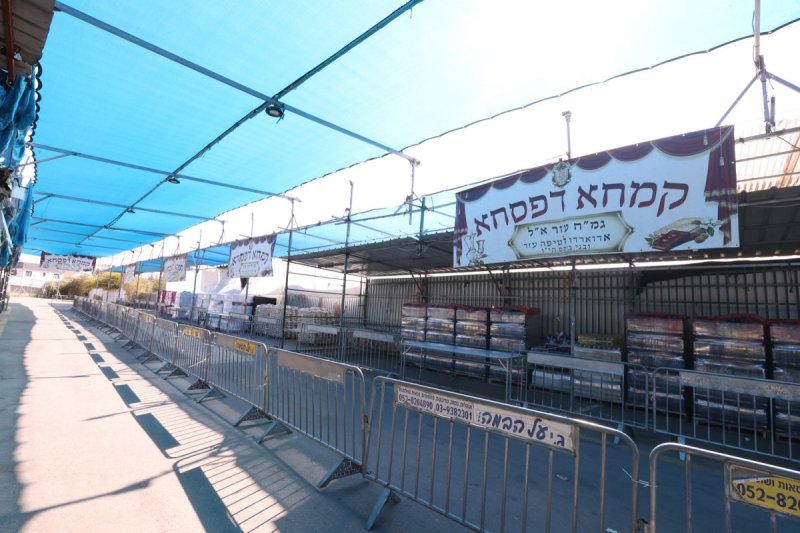 יעקב כהן
