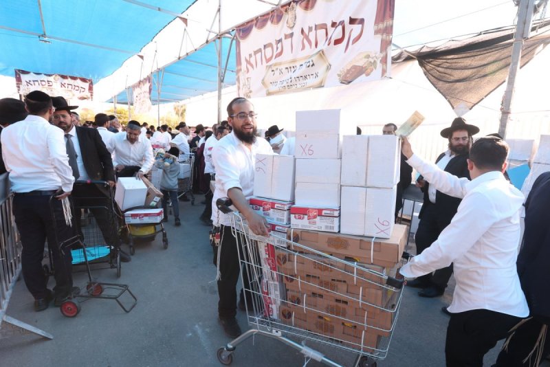 יעקב כהן