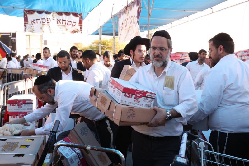 יעקב כהן