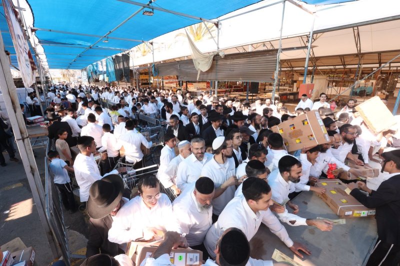 יעקב כהן