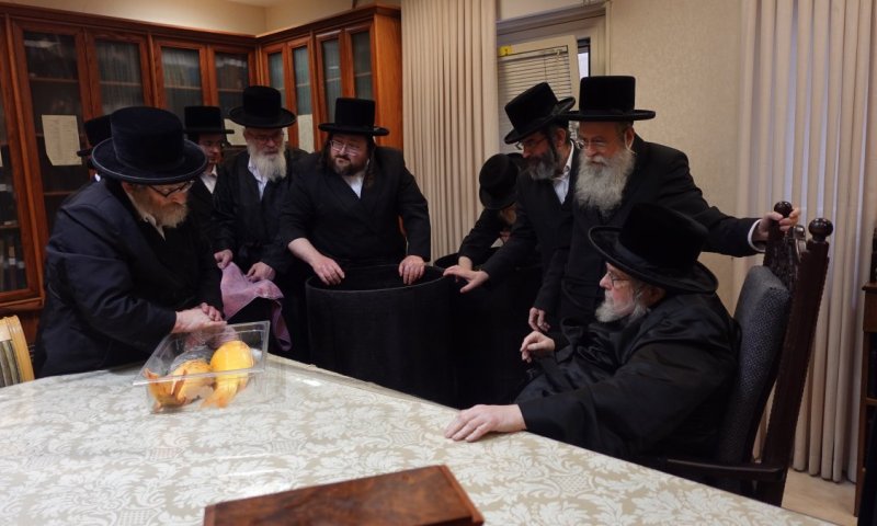לקראת פסח: דגים חיים בחדרו של האדמו"ר מבעלזא | תיעוד
