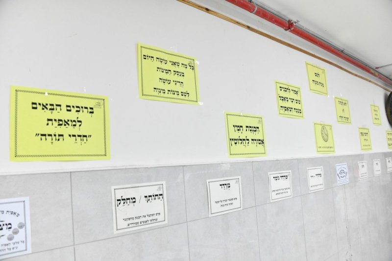 שוקי לרר