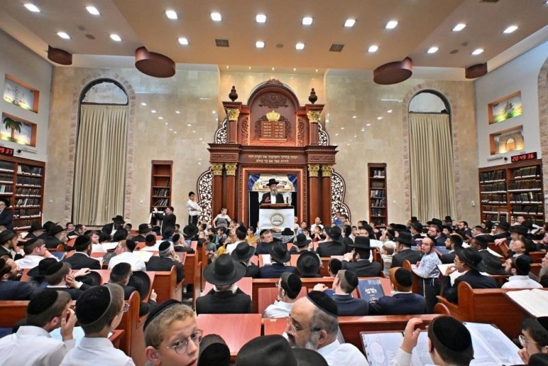 יהושע פרוכטר