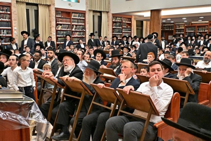 יהושע פרוכטר