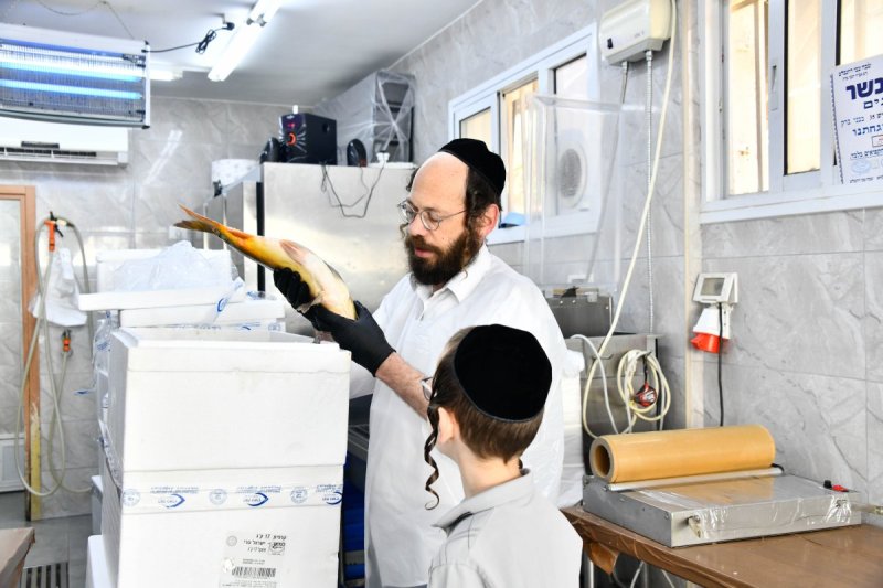 שוקי לרר