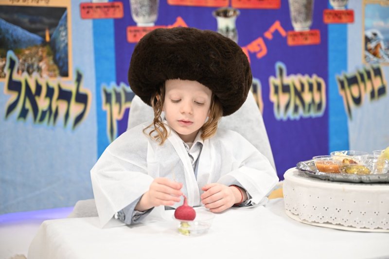 משה גולדשטיין