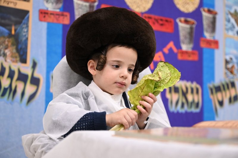משה גולדשטיין