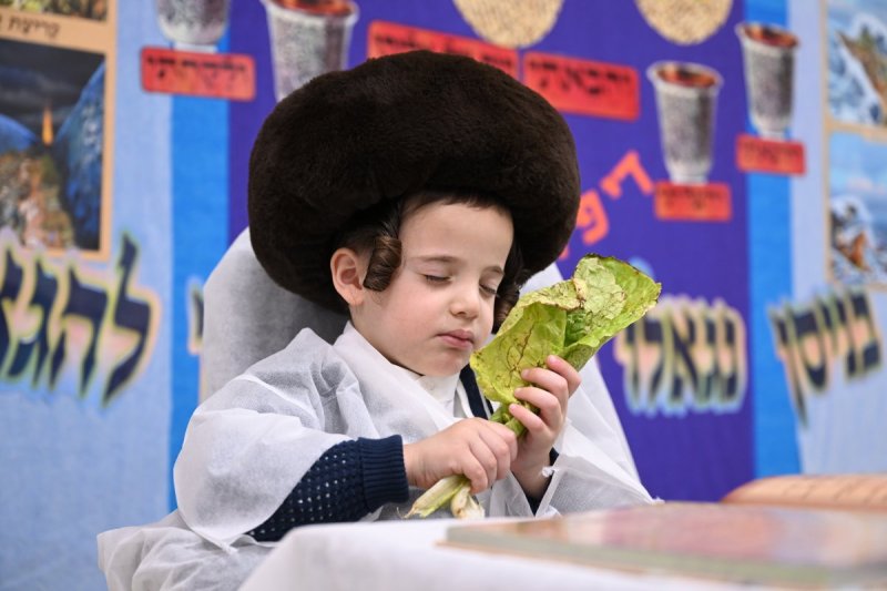 משה גולדשטיין