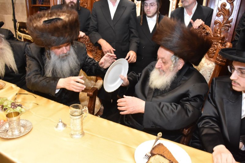 יהודה פרקוביץ