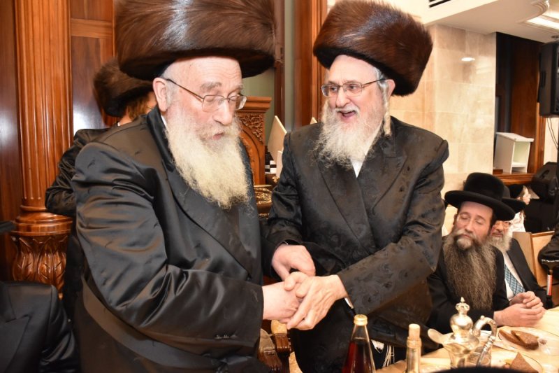 יהודה פרקוביץ
