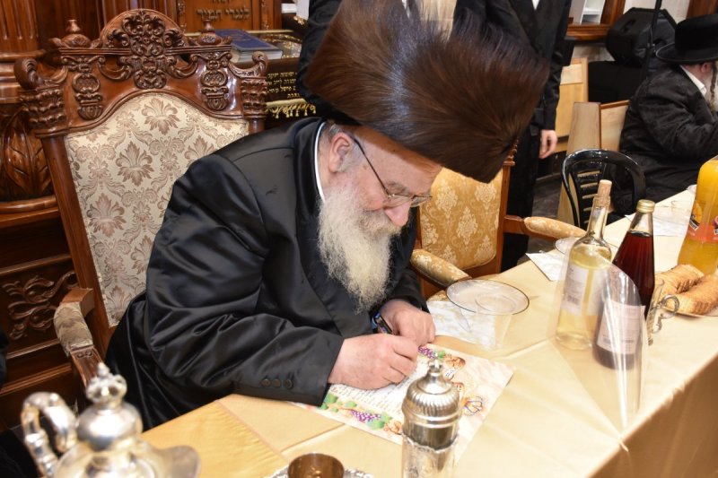 יהודה פרקוביץ