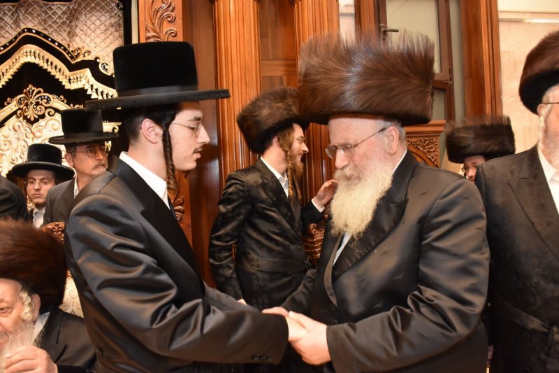 יהודה פרקוביץ