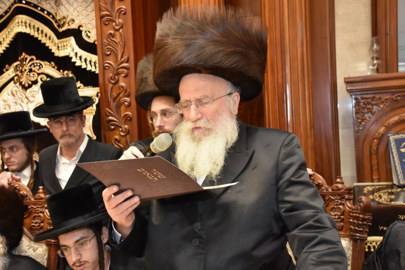 יהודה פרקוביץ