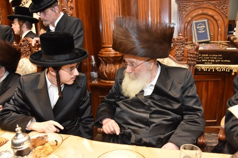 יהודה פרקוביץ