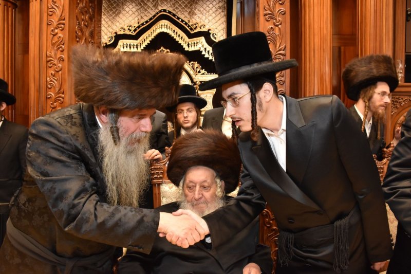 יהודה פרקוביץ