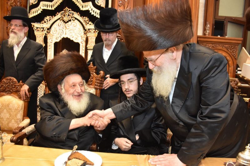 יהודה פרקוביץ