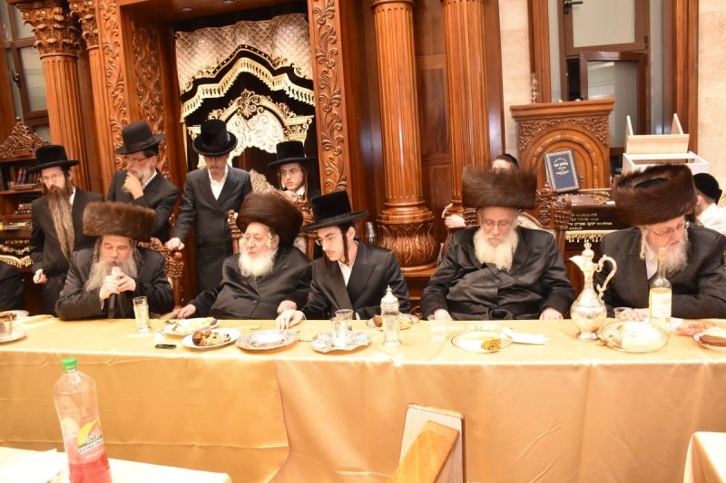 יהודה פרקוביץ