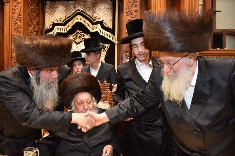 יהודה פרקוביץ