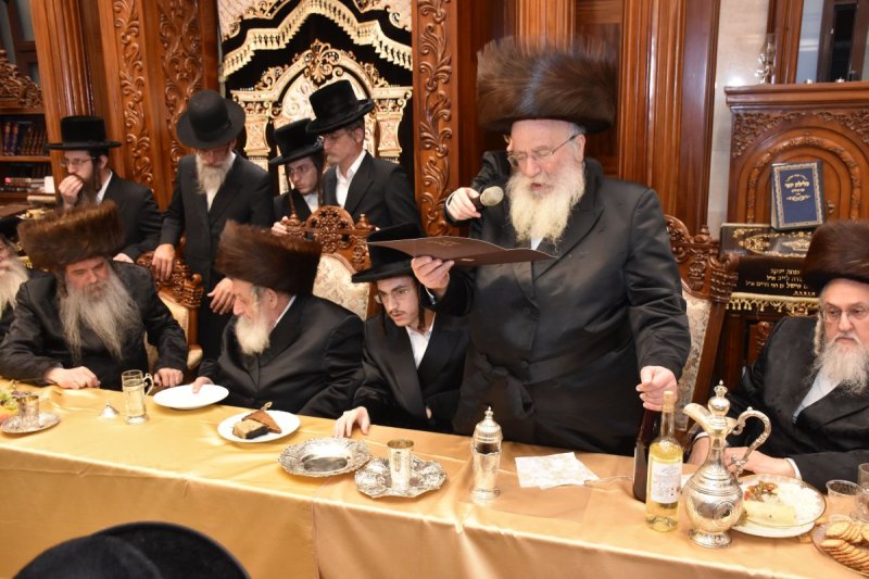 יהודה פרקוביץ