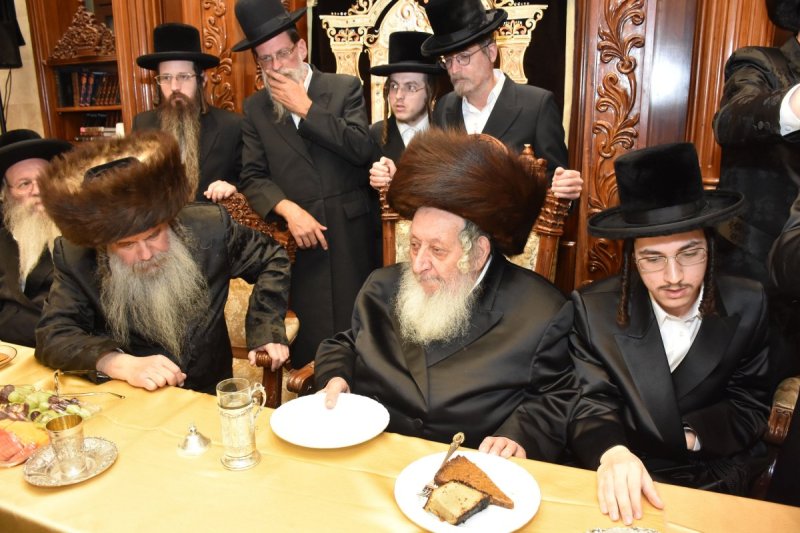 יהודה פרקוביץ