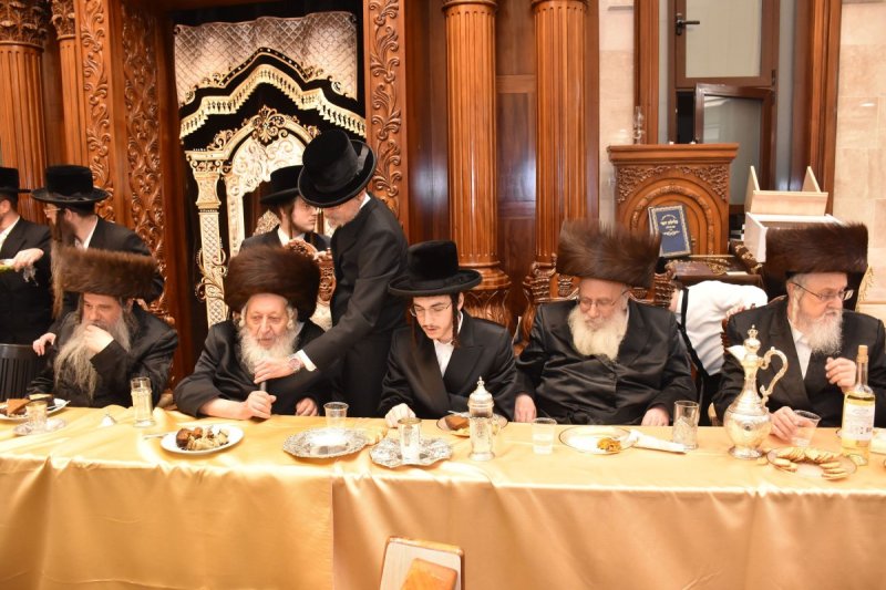 יהודה פרקוביץ