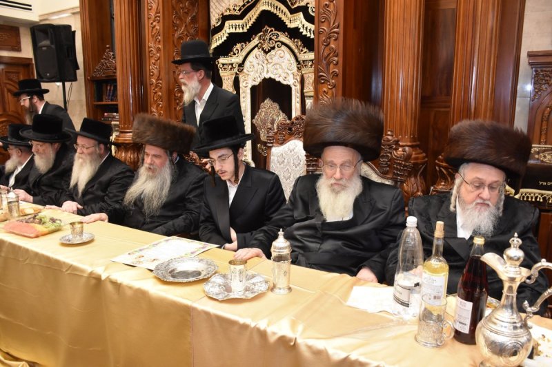 יהודה פרקוביץ