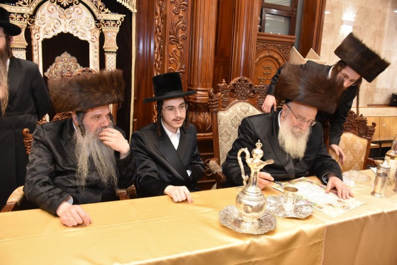 יהודה פרקוביץ
