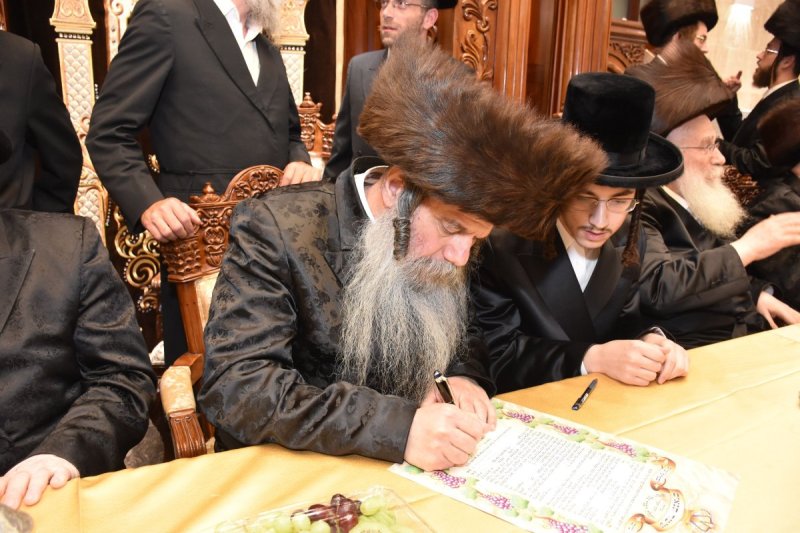 יהודה פרקוביץ