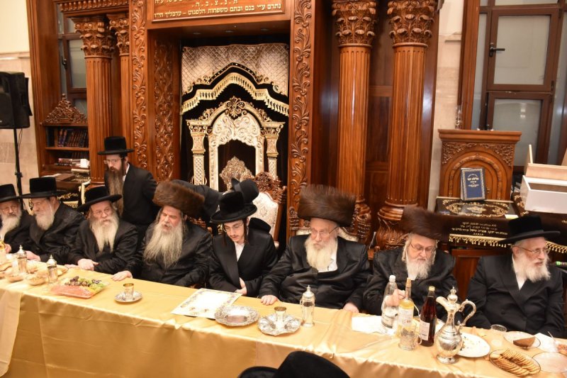 יהודה פרקוביץ