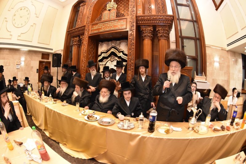 יהודה פרקוביץ
