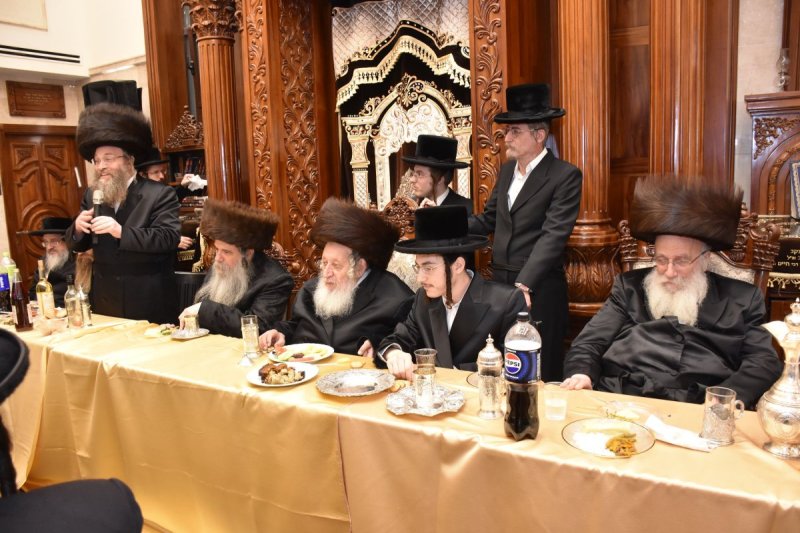 יהודה פרקוביץ
