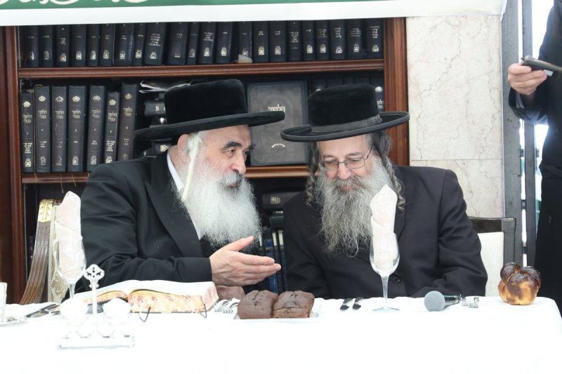 שלומי טריכטר