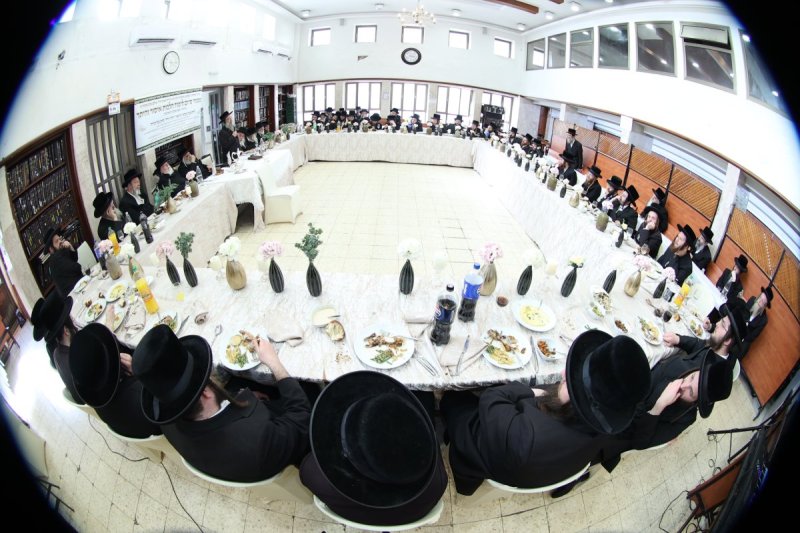 שלומי טריכטר