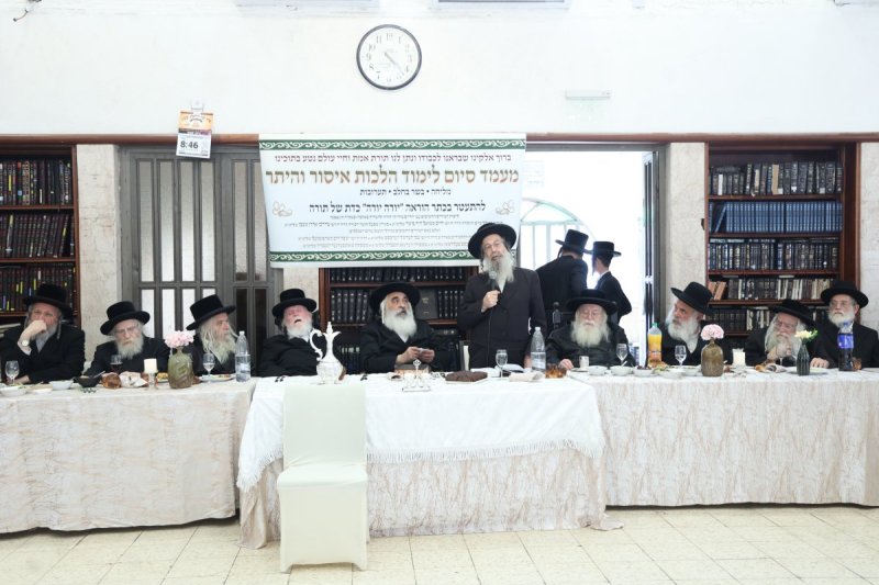 שלומי טריכטר