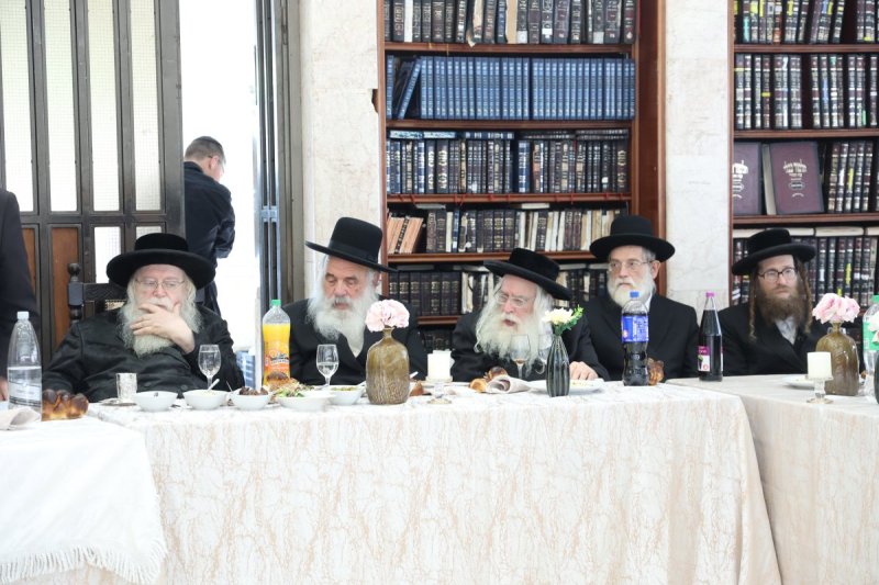 שלומי טריכטר