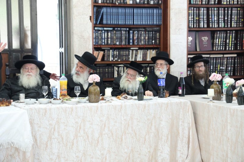 שלומי טריכטר