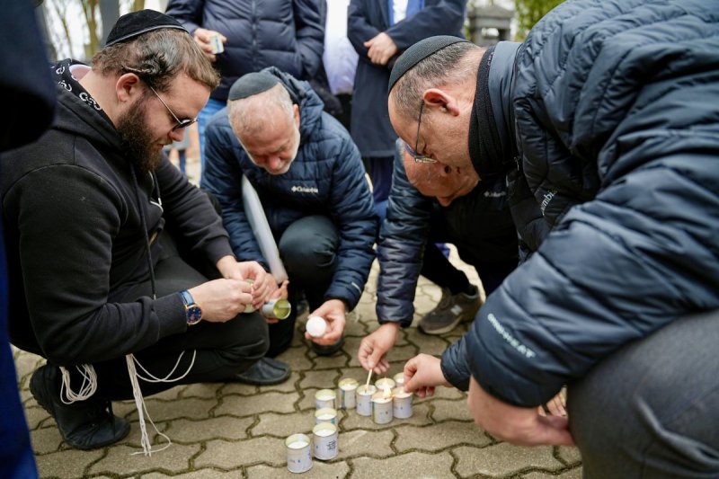 מאיר זלזניק