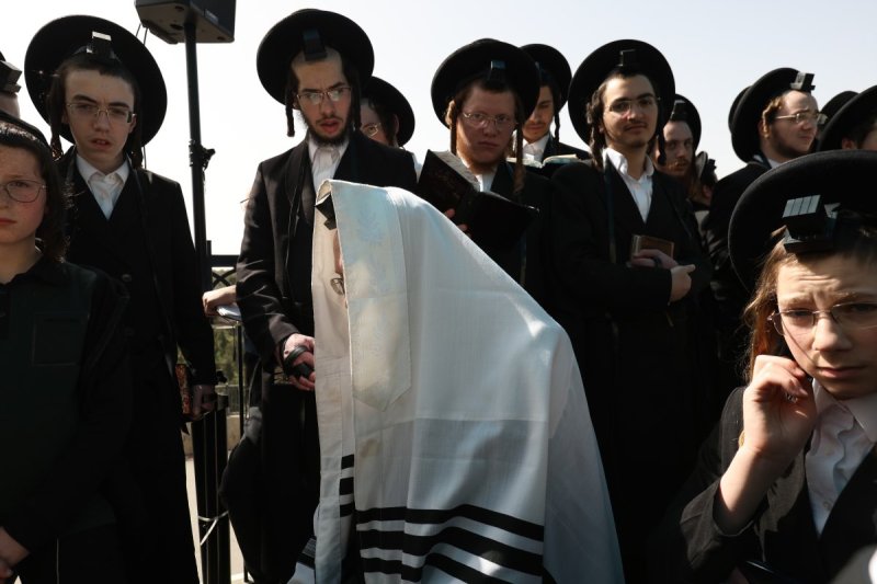 דוד כהן