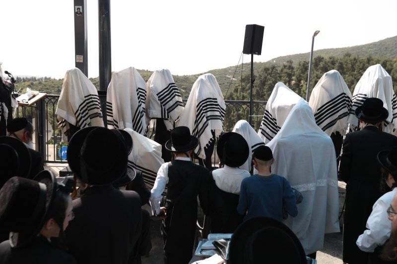 דוד כהן