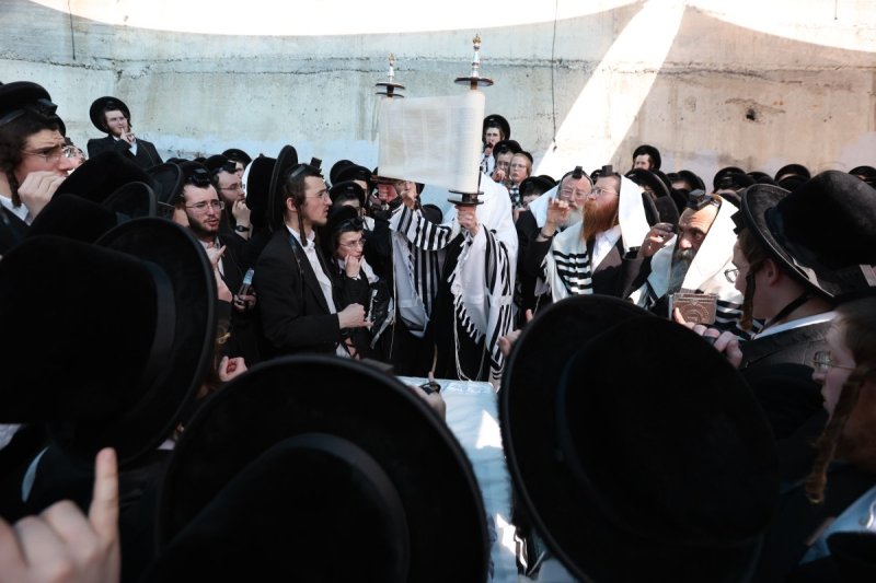דוד כהן