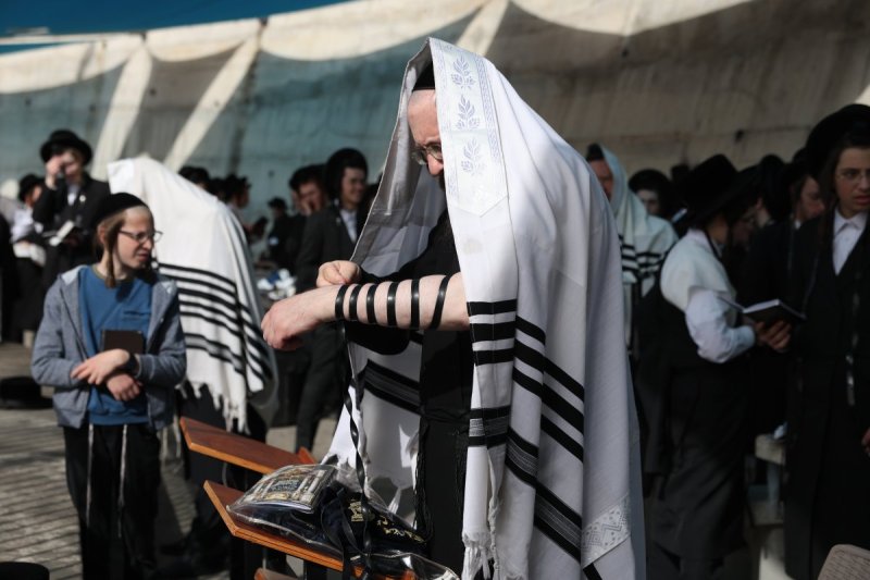 דוד כהן