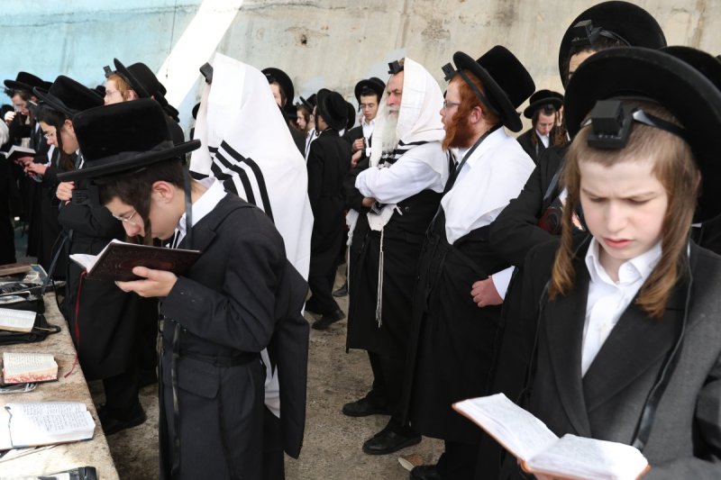 דוד כהן