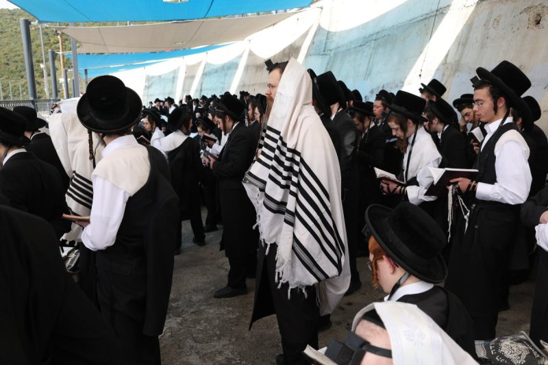 דוד כהן