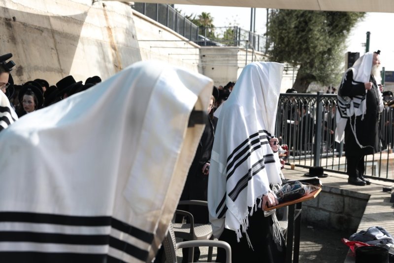 דוד כהן