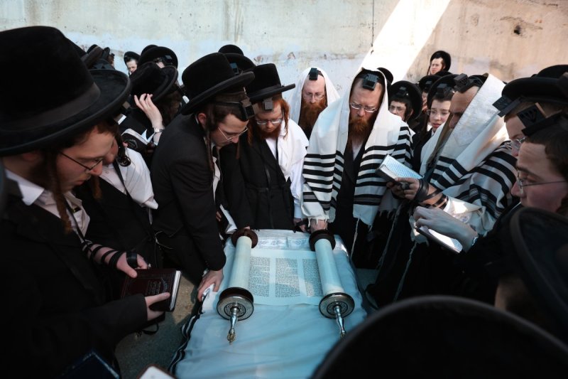 דוד כהן
