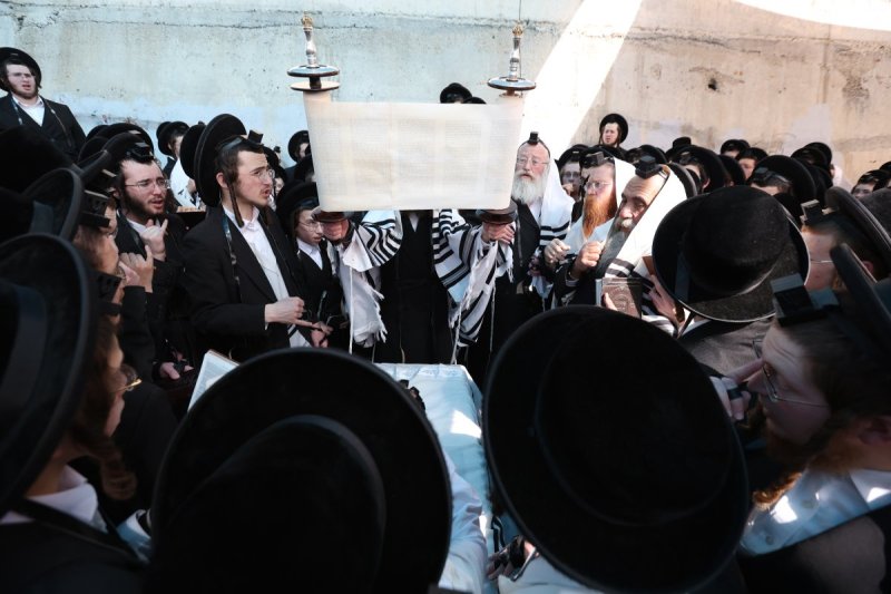 דוד כהן