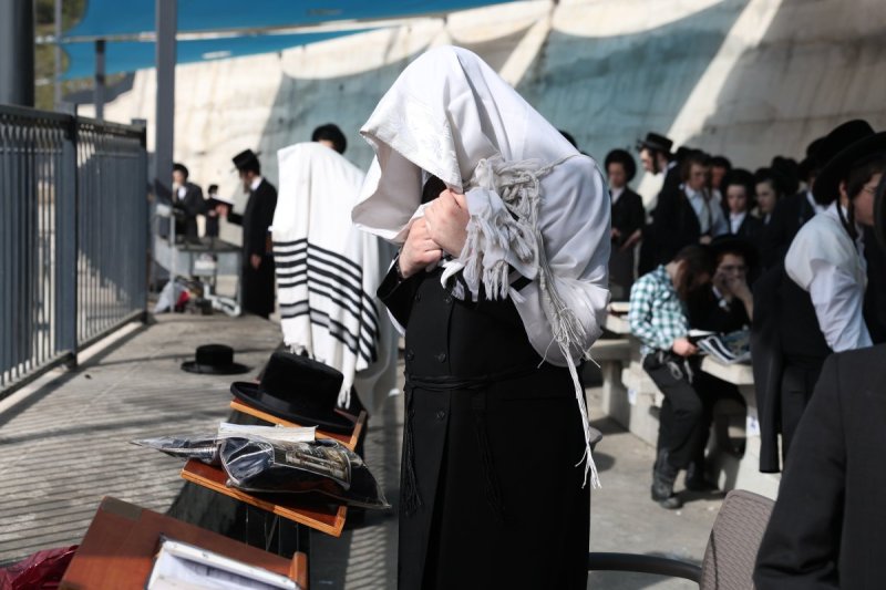 דוד כהן